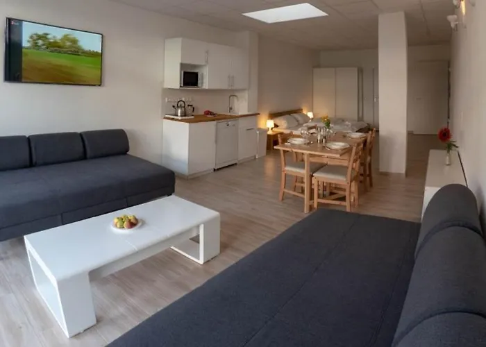 Eleonoras In Stadt Mit Terrasse Im Erdgeschoss Inklusive Eigenen Parkplaetzen Vor Der Tuer Würzburg